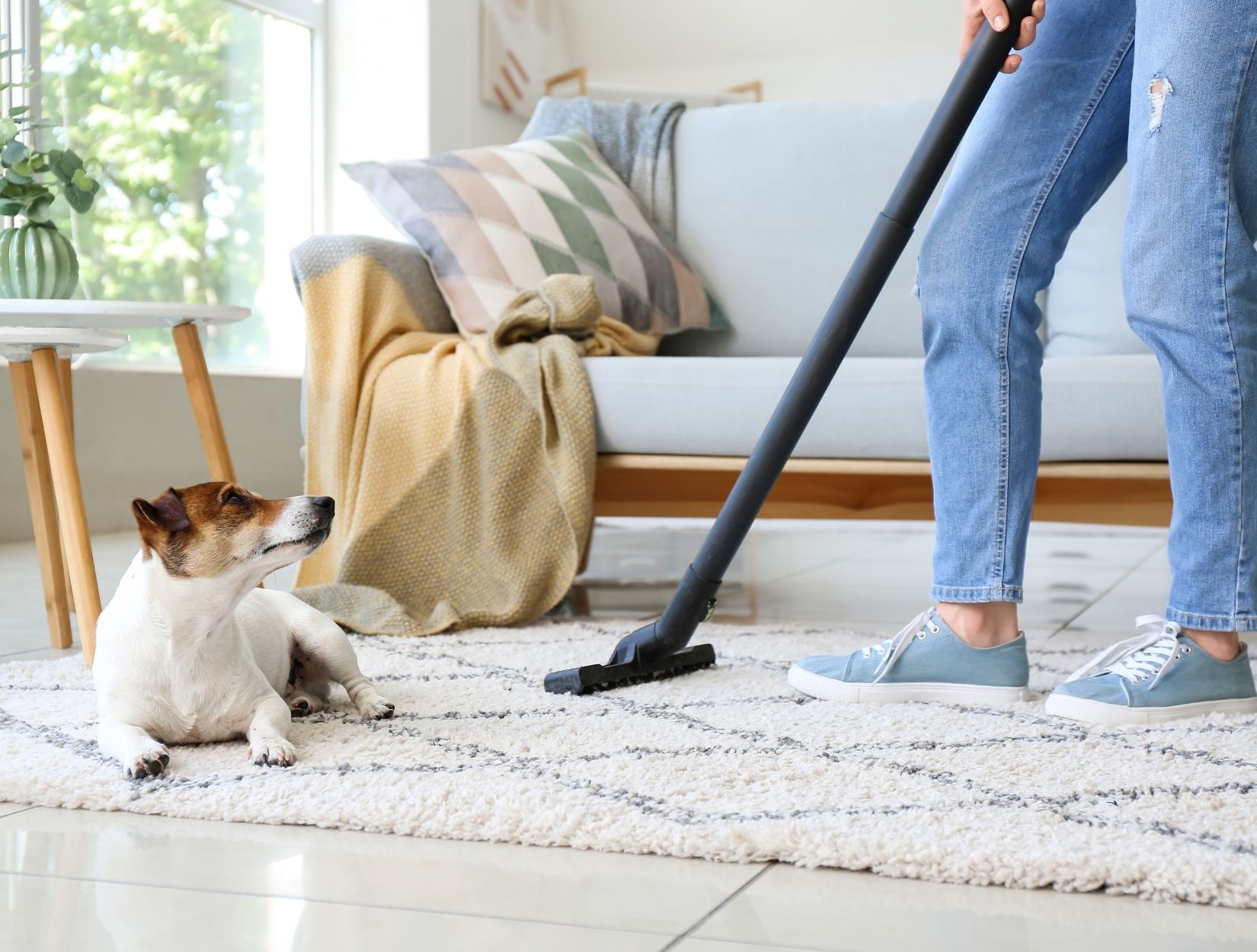 What Are the Best 10 Deep Cleaning Services in San Diego?